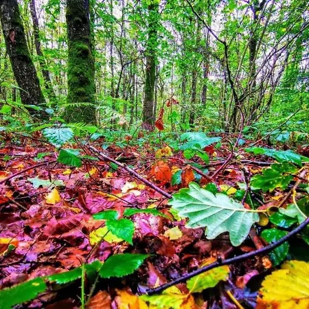 Enjoy 1 Appartement *